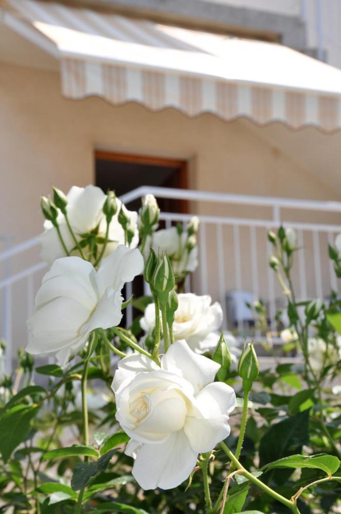Apartment Bilic PUY Exterior foto